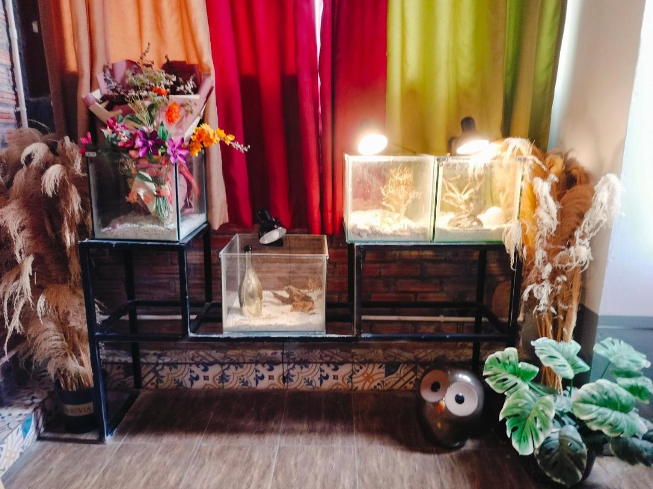 Cozy Fun Homestay 16 Ανόι Εξωτερικό φωτογραφία